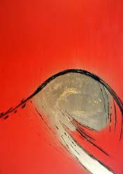 Red Kite 1